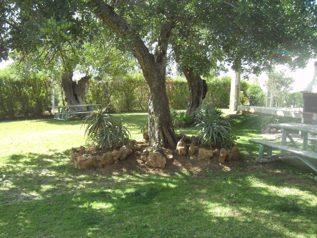 Апартаменты Tavira Garden Экстерьер фото